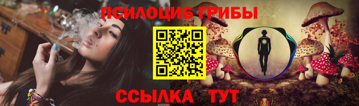 Псилоцибиновые грибы ЛСД Долгопрудный